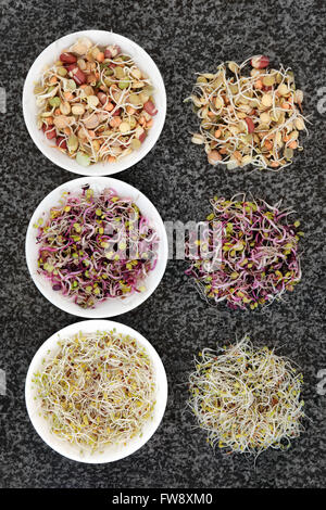 Sprouting seed and bean selection in porcelain bowls and loose on marble background. Stock Photo