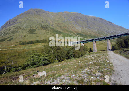 Looking up at the Munro Beinn Dorain and the Auch Railway Viaduct on the West Highland Line. Stock Photo