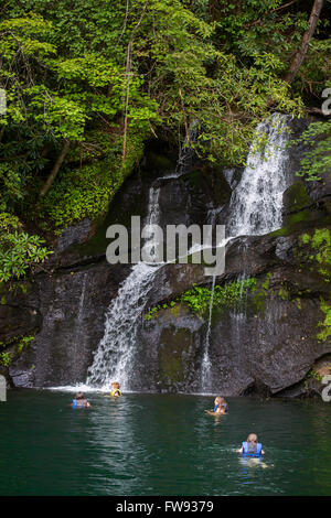 Swimming by waterfalls on Lake Jocassee during a pontoon boat tour in Upstate South Carolina. Stock Photo