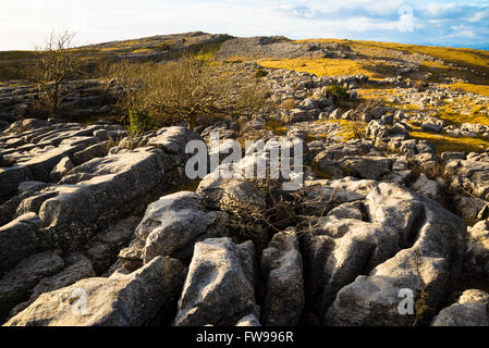 Limestone pavement on Farleton Fell South Lakeland Cumbria Stock Photo
