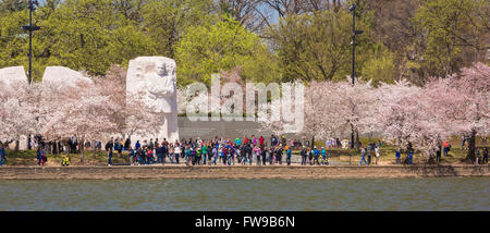 WASHINGTON, DC, USA - Martin Luther King, Jr. Memorial and cherry trees blossoming at Tidal Basin. Stock Photo