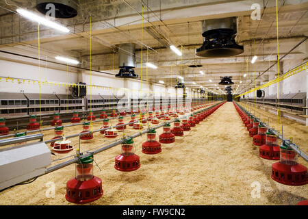 The modern and new automated integrated poultry farm Stock Photo