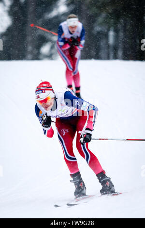 Nove Mesto na Morave, Czech Republic - January 23, 2016: FIS Cross Country World Cup, women 10km. Stock Photo