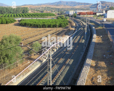 View onto Railway track and Orange Grove from Pizzara Cemetery Bridge Stock Photo
