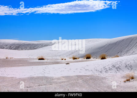 Landscape of  White Sand National Monument in New Mexico Stock Photo