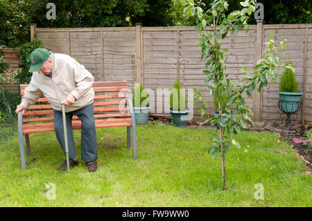 Elderly man struggling to sit down on garden bench Stock Photo