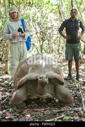 Tourists with Big Daddy, a 90 year old giant tortoise on Ile Aux Aigrettes in Mauritius. Stock Photo