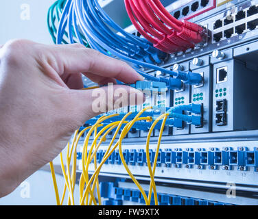 hand of administrator holding optic fiber cables with connectors Stock Photo
