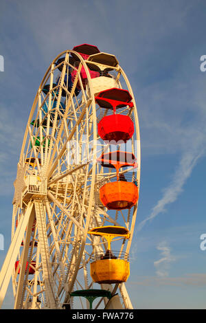 Ferris wheel in an amusement park Stock Photo