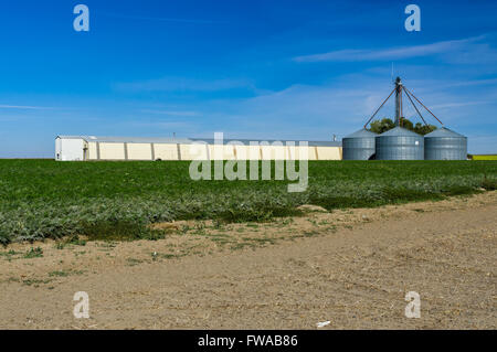 Metal silos and storage building on a farm in eastern Washington, USA Stock Photo