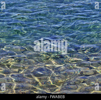 Green Dalmatian sea waters, HD horizontal seamless texture Stock Photo