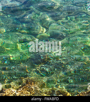 Underwater world, HD horizontal seamless green and glimmering sea water texture Stock Photo