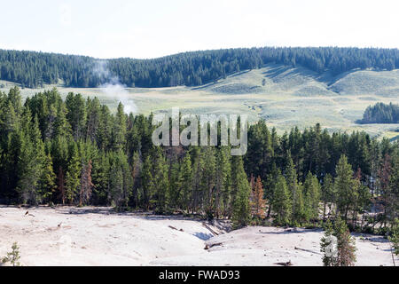 Sulphur Caldron near Mud Volcano in Yellowstone National Park Stock Photo