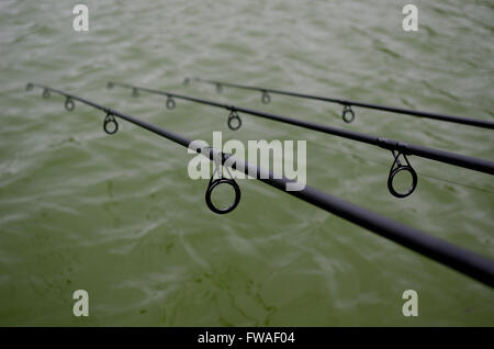 Three carp fishing rods in rod pod on a background of lake and nature.  Fishing background. Carp fishing. Misty morning. Holder rods. wilderness  area Stock Photo - Alamy