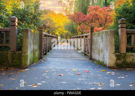 Fall Colors along the bridge at Crystal Springs Rhododendron Garden in Portland Oregon at sunset Stock Photo