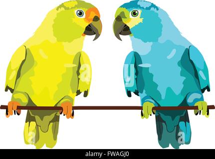 illustration of two parrots. Two vector budgies on branch Stock Vector