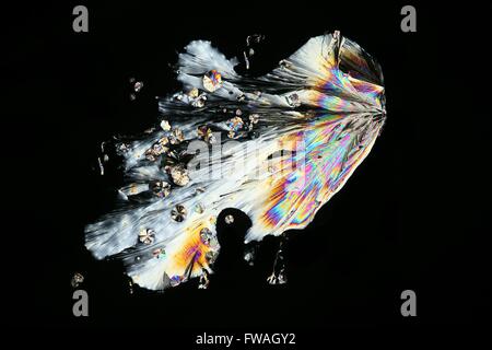 Vitamin C crystallized Stock Photo