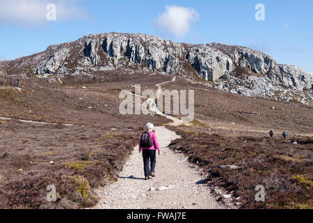 Walker on a public footpath to Holyhead Mountain from South Stack, Holy Island, Isle of Anglesey, Wales, UK, Britain Stock Photo