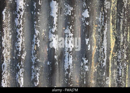 Peeling paint on old, corrugated sheet metal Stock Photo