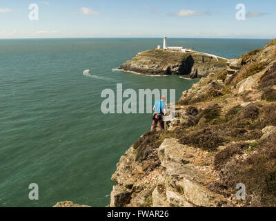 Male climber roping up to descend South Stack Cliffs Isle of Anglesey North Wales  impressive and adventurous climbing experience Stock Photo