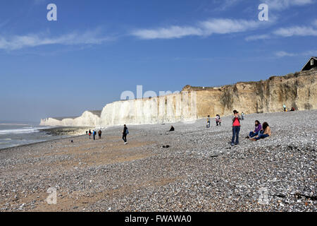 Birling Gap, East Sussex. England, UK. 2nd April 2016. A fine day on the Sussex coast at Birling Gap with the stunning view along the beach to the Seven Sisters chalk cliffs. Credit:  Julia Gavin UK/Alamy Live News Stock Photo