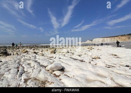 Birling Gap, East Sussex. England, UK. 2nd April 2016. A fine day on the Sussex coast at Birling Gap with the stunning view along the beach to the Seven Sisters chalk cliffs. Credit:  Julia Gavin UK/Alamy Live News Stock Photo