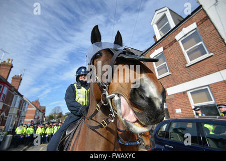 Exeter, Devon, UK. 2nd April, 2016. Exeter Vs Plymouth Arrests & Police Activity,  - Avon & Somereset Horse 'Brian' taking the lead Credit:  @camerafirm/Alamy Live News Stock Photo