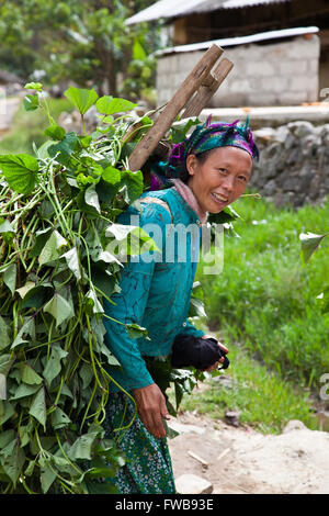 Woman carrying heavy load in rural Ha giang, northern Vietnam Stock Photo