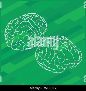 Vector outline illustration human brain. Stock Vector