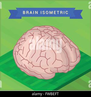 Lateral of human brain flat Stock Vector