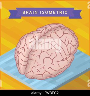 human brain flat isometric icon Stock Vector