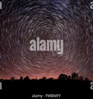 Star trails over a silhouetted tree line. Stock Photo