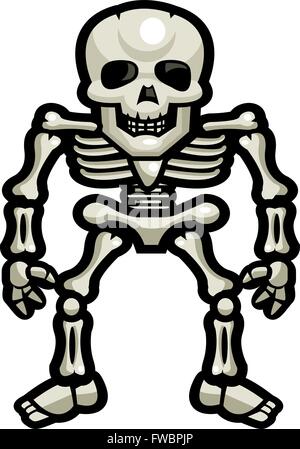 A cartoon skeleton standing up. Stock Vector