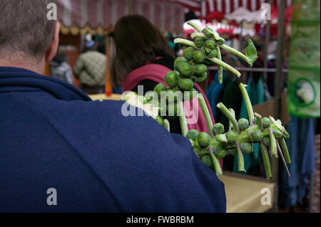 A man carrying stalks of brussel sprouts at Stroud framers market Gloucestershire, UK. held in the town centre most saturdays where local produce including cheeses,breads,honey ,organic meats etc. can be bought. Stock Photo