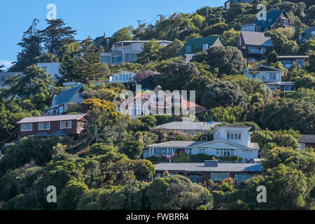 Residential area on Sumner Beach in Christchurch, South Island, New Zealand Stock Photo