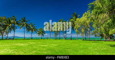 PORT DOUGLAS, AUSTRALIA - 27 MARCH 2016. Rex Smeal Park in Port Douglas with tropical palm trees and beach, Australia Stock Photo