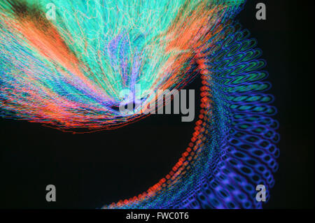 Fractal type patterns produced by a computer on a screen and shown swirling in a variety of bright colours. Stock Photo