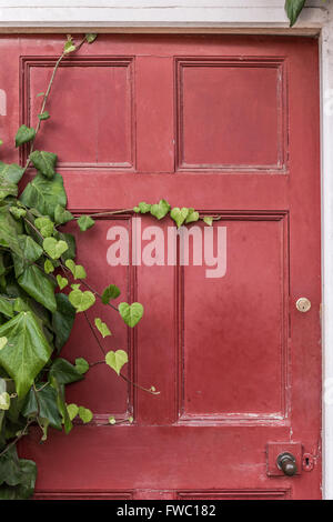 Vintage wooden red doors covered with green ivy leaves Stock Photo