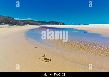 tallow beach byron bay Stock Photo