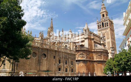 La Giralda, the world famous cathedral of Seville Stock Photo