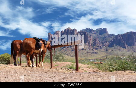 Horses tied to a post in a Wild West cowboy town. Off in the distant background desert, cactus, and large red mountain range Stock Photo
