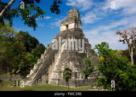 Tikal Pyramid ruins (UNESCO site), Guatemala. Great Jaguar Temple (Temple I) Pre-Columbian Maya Site at Tikal, El Peten National Stock Photo