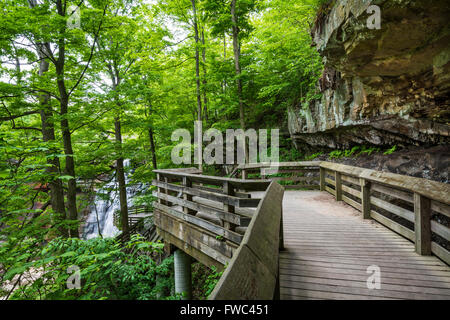 Wooden walkway leads to Brandywine Falls, Cuyahoga Valley National Park, OH Stock Photo