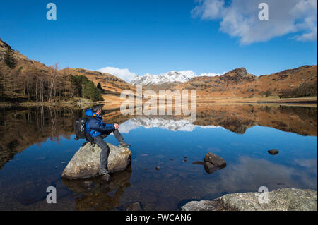 Rambler at Blea Tarn and The Langdale Pikes in winter, The Lake District, Cumbria, England, UK Stock Photo