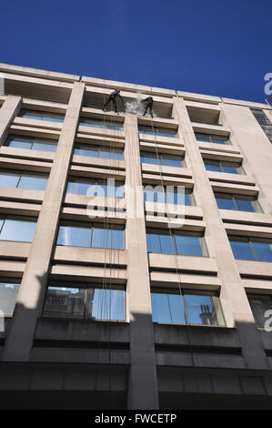 Rope access, abseiling, window cleaning access for hard to reach glass and stonework. Males working at height using ropes. Person. 10 Spring Gardens Stock Photo
