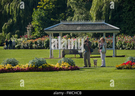 Valley Gardens, Harrogate, Yorkshire, England - couple taking photos of the bright, colourful flowerbeds in this beautiful, sunny, landscaped park. Stock Photo