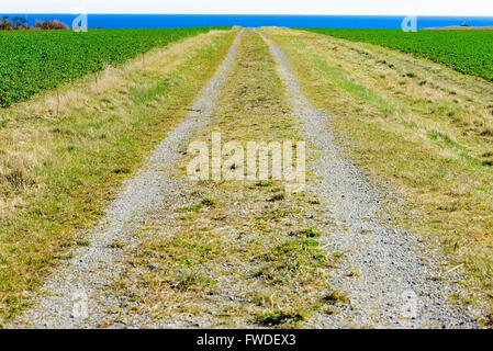 A straight country road leading to the sea in the distance. Farmers fields on both sides of the road. Weather is sunny and warm Stock Photo