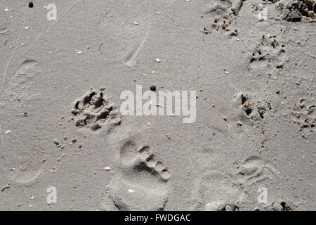 Footprints in the sand Stock Photo