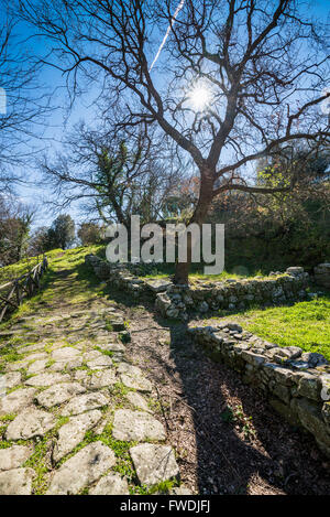 Etrurian ruins, Vetulonia, Tuscany, Italy, EU, Europe Stock Photo