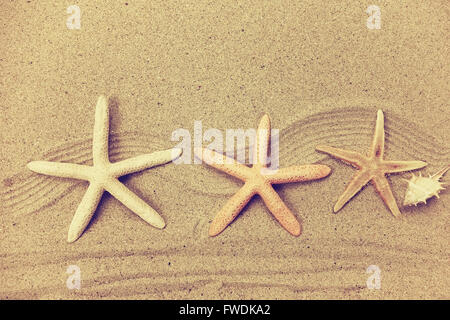 starfish with frame on the beach, vacation memories Stock Photo